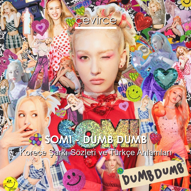 SOMI – DUMB DUMB Korece Şarkı Sözleri Türkçe Anlamları