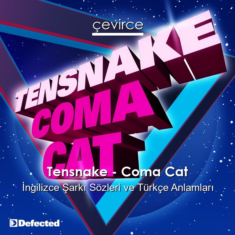 Tensnake – Coma Cat İngilizce Şarkı Sözleri Türkçe Anlamları