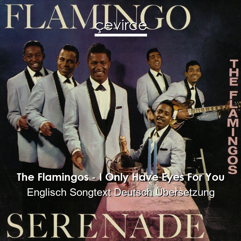 The Flamingos – I Only Have Eyes For You Englisch Songtext Deutsch Übersetzung