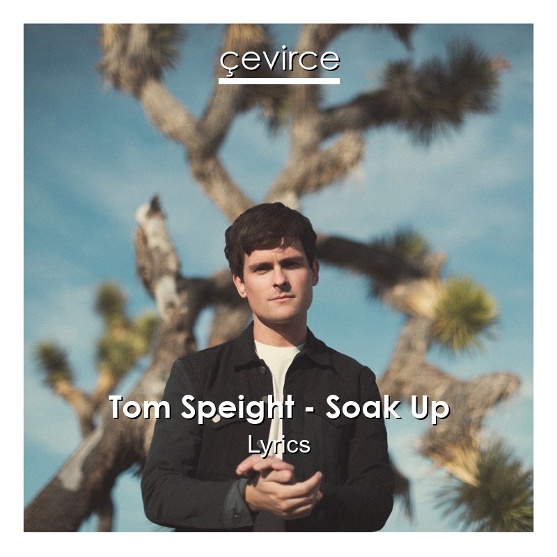 Tom Speight – Soak Up Lyrics