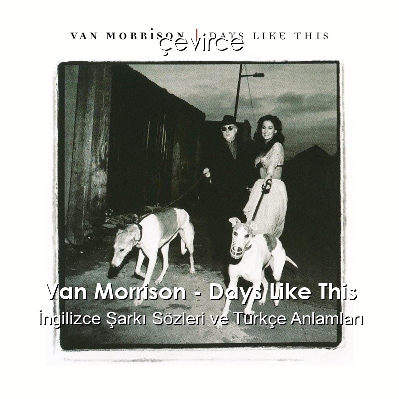 Van Morrison – Days Like This İngilizce Şarkı Sözleri Türkçe Anlamları