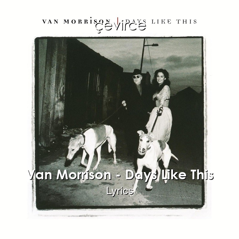 Van Morrison – Days Like This Lyrics
