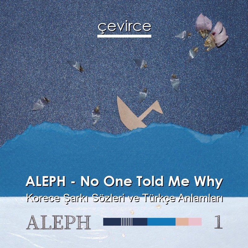 ALEPH – No One Told Me Why Korece Şarkı Sözleri Türkçe Anlamları