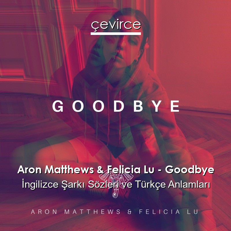 Aron Matthews & Felicia Lu – Goodbye İngilizce Şarkı Sözleri Türkçe Anlamları