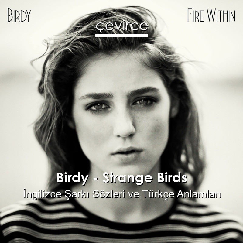 Birdy – Strange Birds İngilizce Şarkı Sözleri Türkçe Anlamları