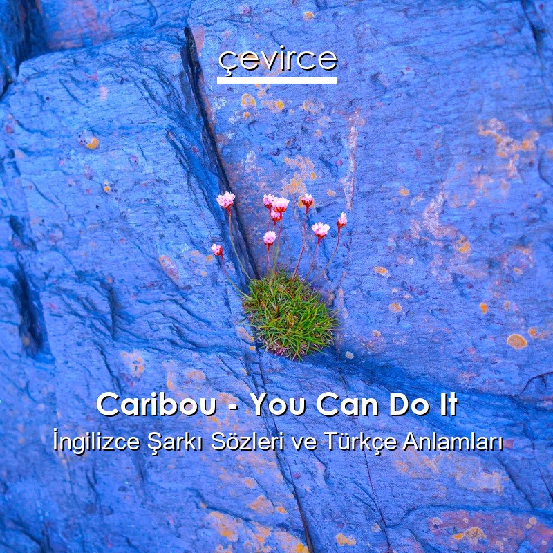 Caribou – You Can Do It İngilizce Şarkı Sözleri Türkçe Anlamları