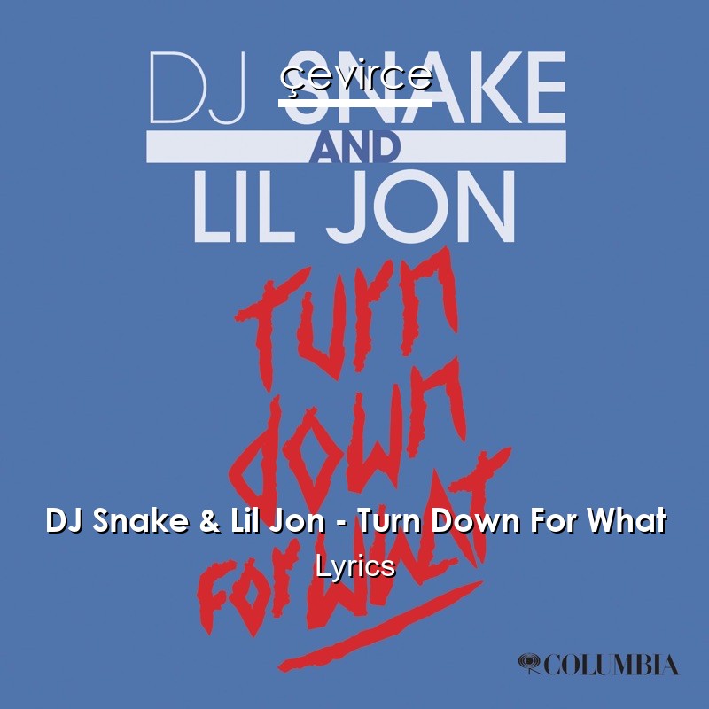 DJ Snake & Lil Jon – Turn Down For What Lyrics