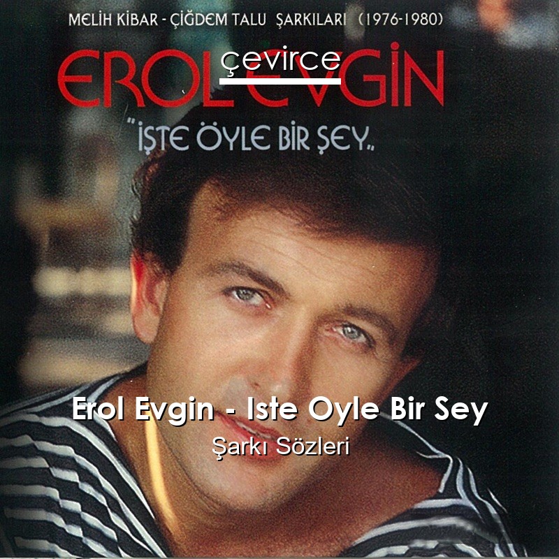 Erol Evgin – Iste Oyle Bir Sey Şarkı Sözleri