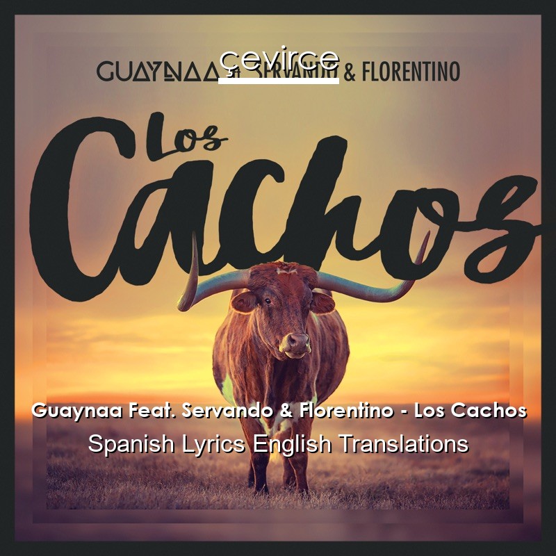Guaynaa Feat. Servando & Florentino – Los Cachos Spanish Lyrics English Translations