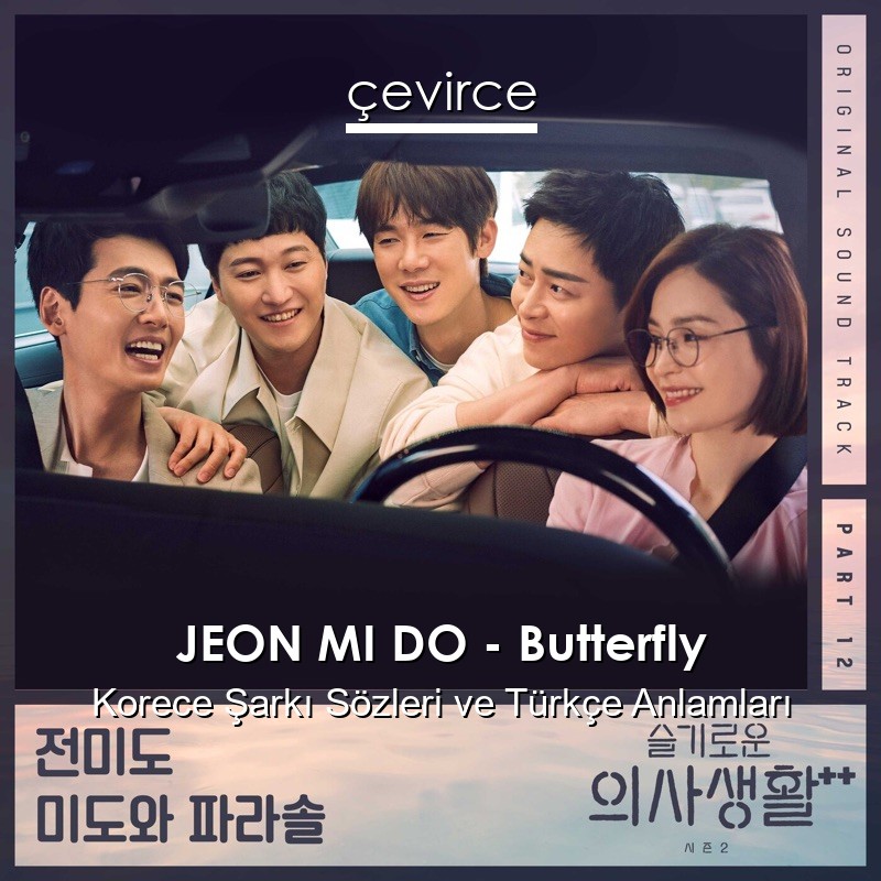 JEON MI DO – Butterfly Korece Şarkı Sözleri Türkçe Anlamları