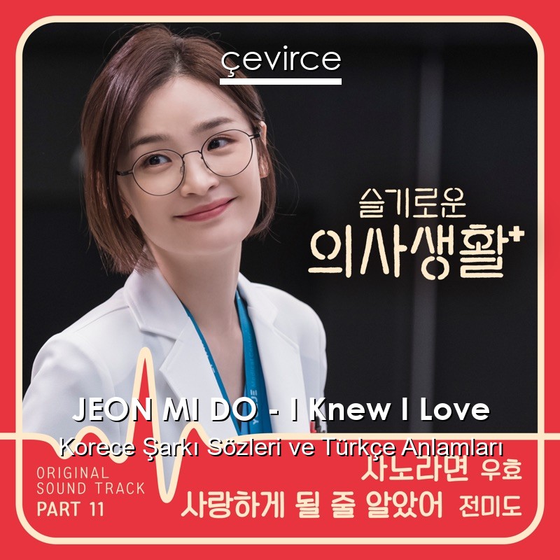 JEON MI DO – I Knew I Love Korece Şarkı Sözleri Türkçe Anlamları