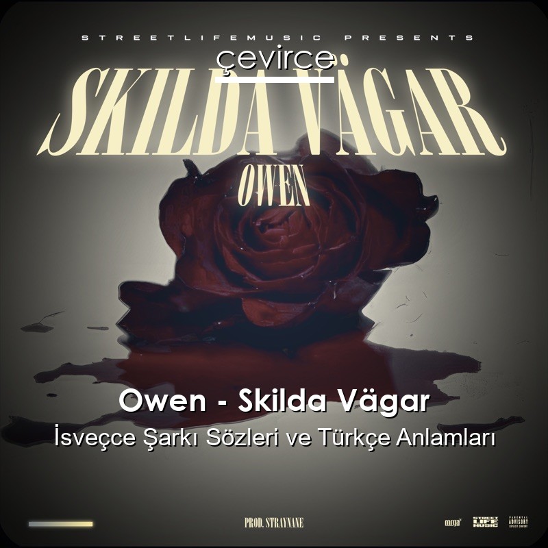 Owen – Skilda Vägar İsveçce Şarkı Sözleri Türkçe Anlamları