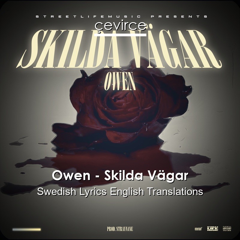 Owen – Skilda Vägar Swedish Lyrics English Translations