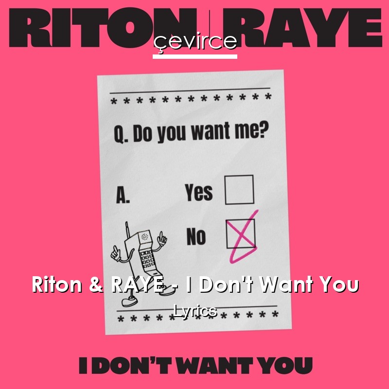 Riton & RAYE – I Don’t Want You Lyrics