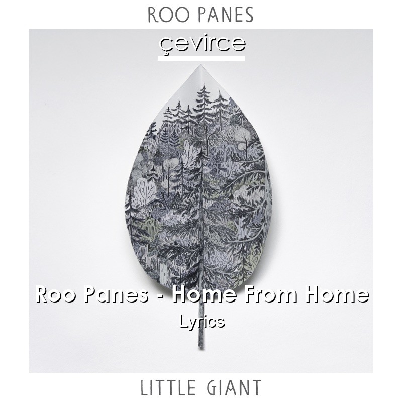 Roo Panes – Home From Home Lyrics