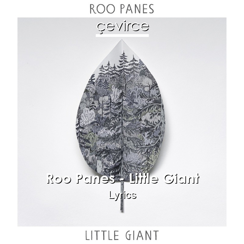 Roo Panes – Little Giant Lyrics