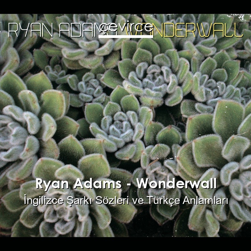 Ryan Adams – Wonderwall İngilizce Şarkı Sözleri Türkçe Anlamları