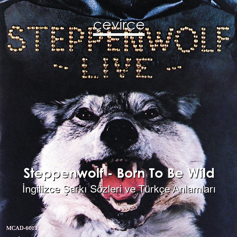 Steppenwolf – Born To Be Wild İngilizce Şarkı Sözleri Türkçe Anlamları