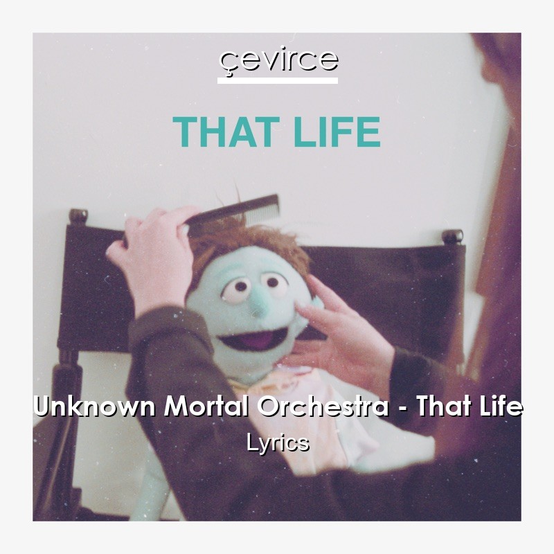 Unknown Mortal Orchestra – That Life Lyrics