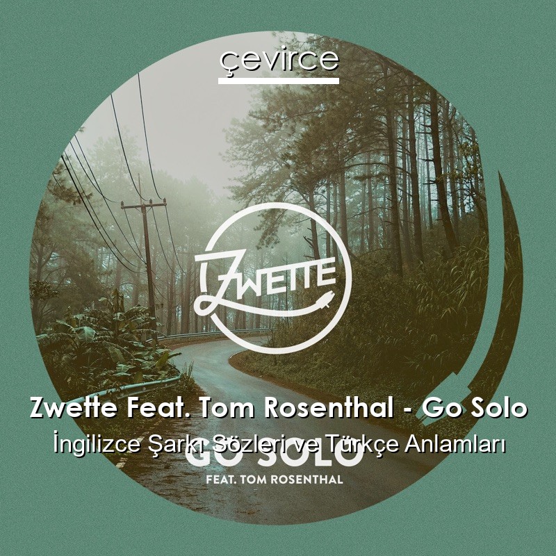 Zwette Feat. Tom Rosenthal – Go Solo İngilizce Şarkı Sözleri Türkçe Anlamları