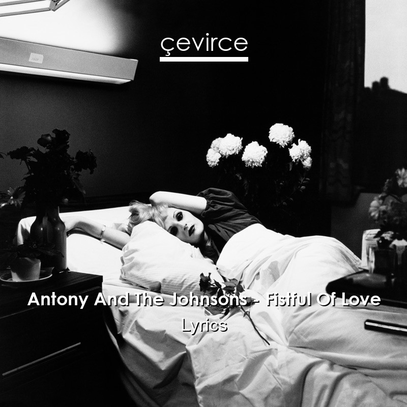 Antony And The Johnsons – Fistful Of Love Lyrics