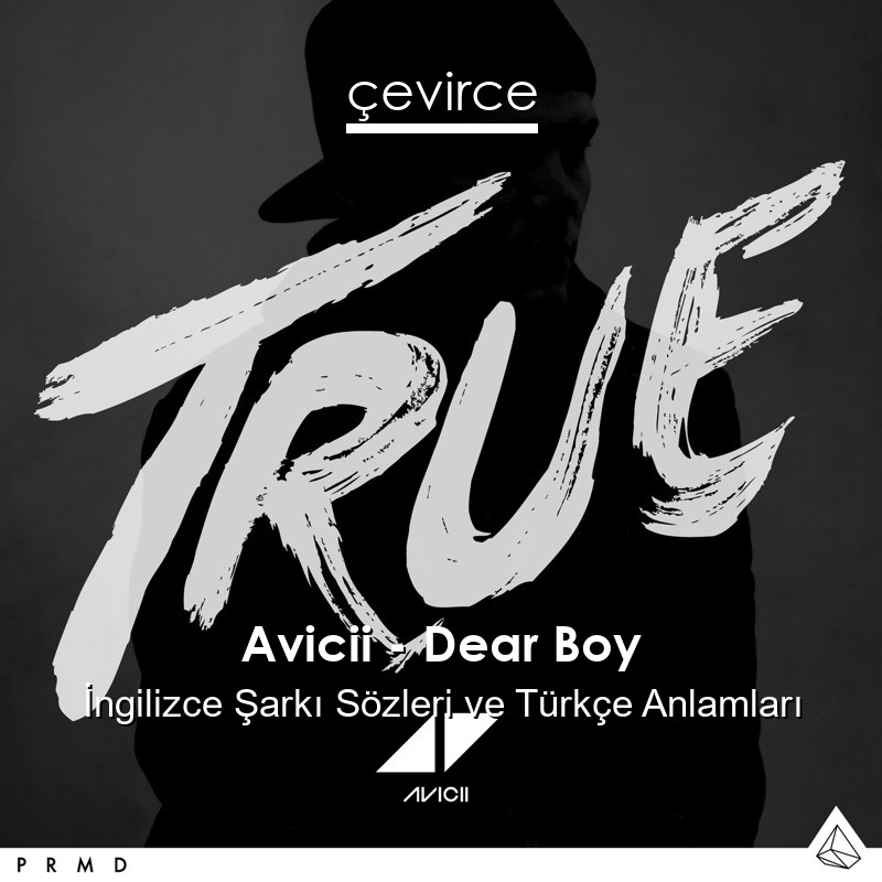 Avicii – Dear Boy İngilizce Şarkı Sözleri Türkçe Anlamları