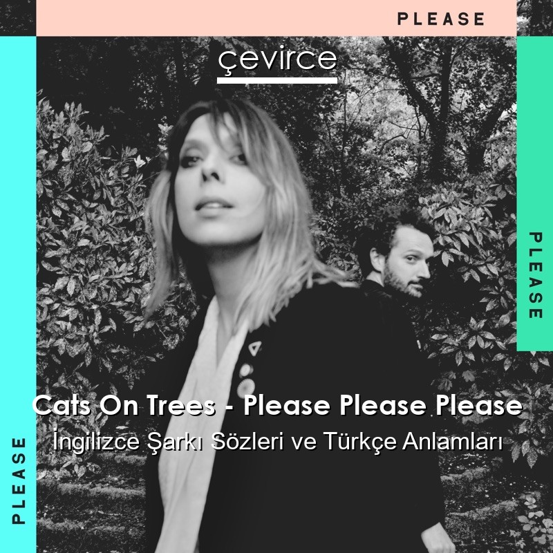 Cats On Trees – Please Please Please İngilizce Şarkı Sözleri Türkçe Anlamları