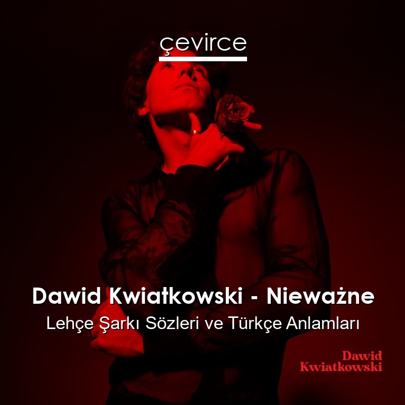 Dawid Kwiatkowski – Nieważne Lehçe Şarkı Sözleri Türkçe Anlamları