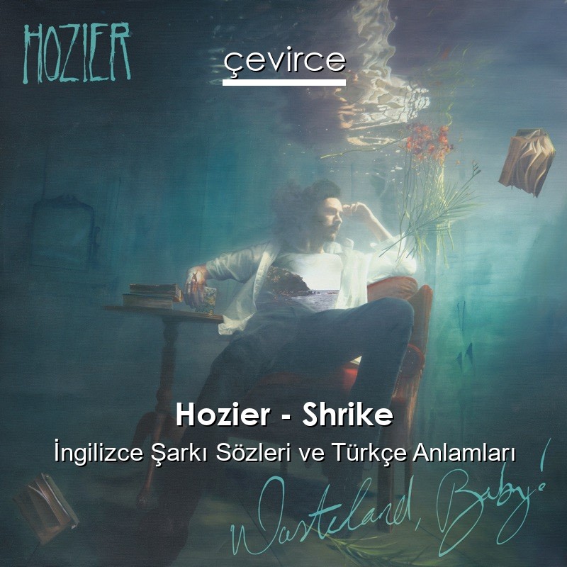 Hozier – Shrike İngilizce Şarkı Sözleri Türkçe Anlamları