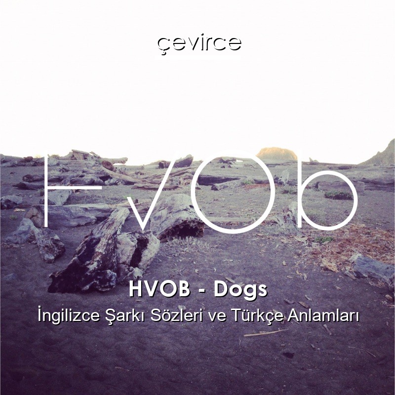 HVOB – Dogs İngilizce Şarkı Sözleri Türkçe Anlamları