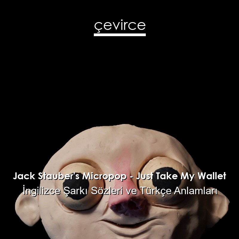 Jack Stauber’s Micropop – Just Take My Wallet İngilizce Şarkı Sözleri Türkçe Anlamları