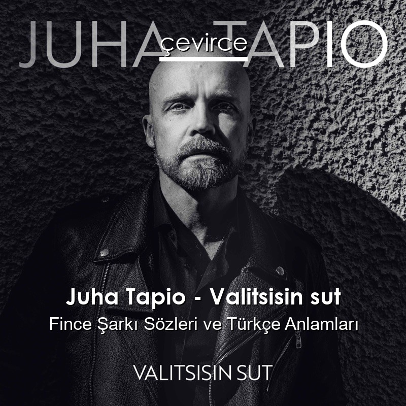 Juha Tapio – Valitsisin sut Fince Şarkı Sözleri Türkçe Anlamları