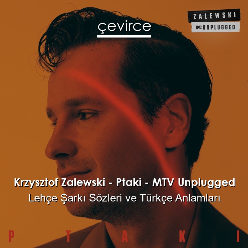 Krzysztof Zalewski – Ptaki – MTV Unplugged Lehçe Şarkı Sözleri Türkçe Anlamları