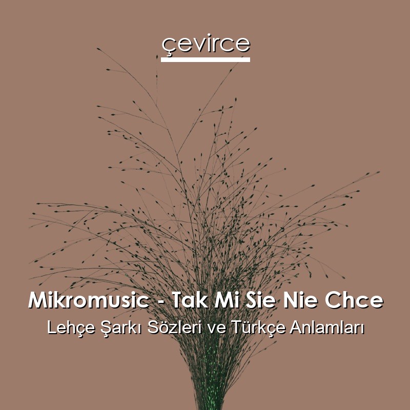 Mikromusic – Tak Mi Sie Nie Chce Lehçe Şarkı Sözleri Türkçe Anlamları