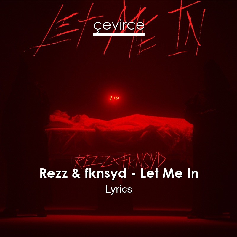 Rezz & fknsyd – Let Me In Lyrics