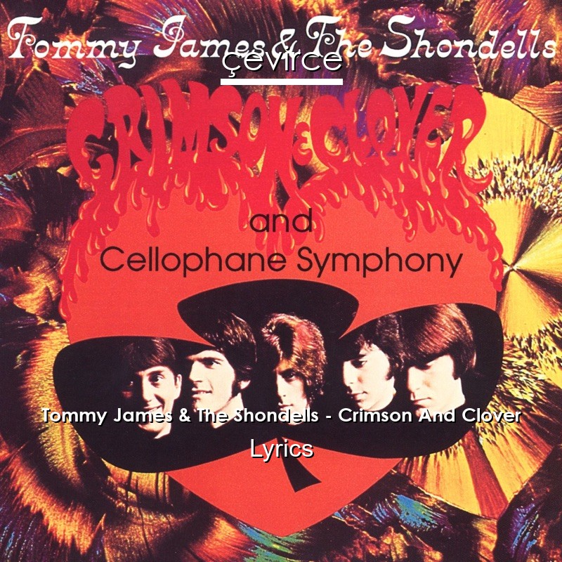 Tommy James & The Shondells – Crimson And Clover Lyrics