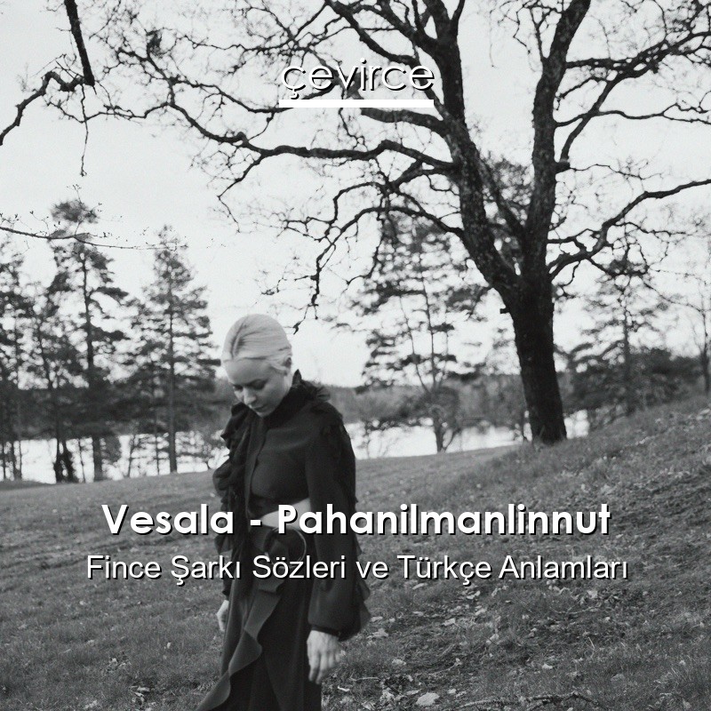 Vesala – Pahanilmanlinnut Fince Şarkı Sözleri Türkçe Anlamları