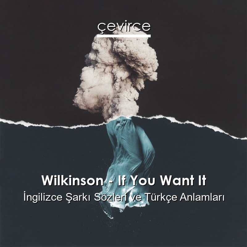 Wilkinson – If You Want It İngilizce Şarkı Sözleri Türkçe Anlamları