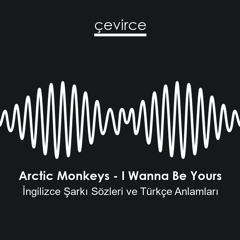 Arctic Monkeys – I Wanna Be Yours İngilizce Şarkı Sözleri Türkçe Anlamları