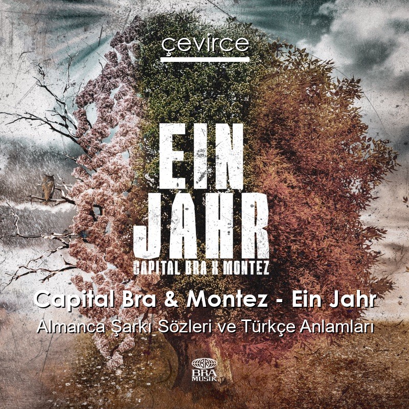 Capital Bra & Montez – Ein Jahr Almanca Şarkı Sözleri Türkçe Anlamları