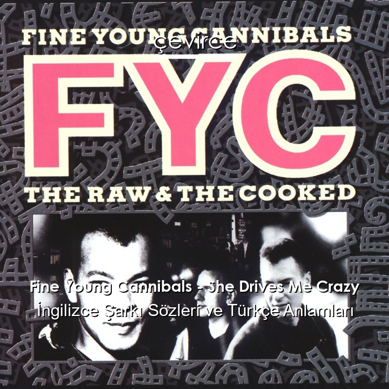 Fine Young Cannibals – She Drives Me Crazy İngilizce Şarkı Sözleri Türkçe Anlamları
