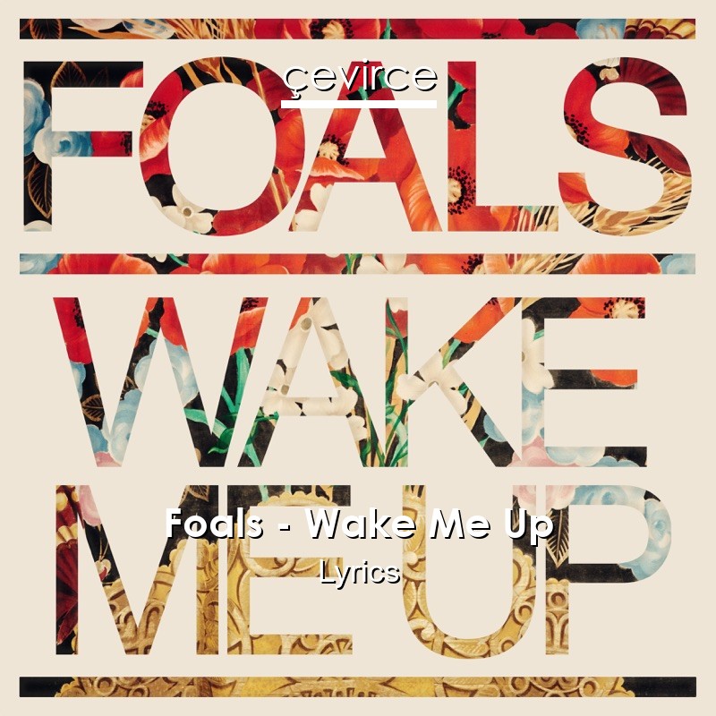 Foals – Wake Me Up Lyrics