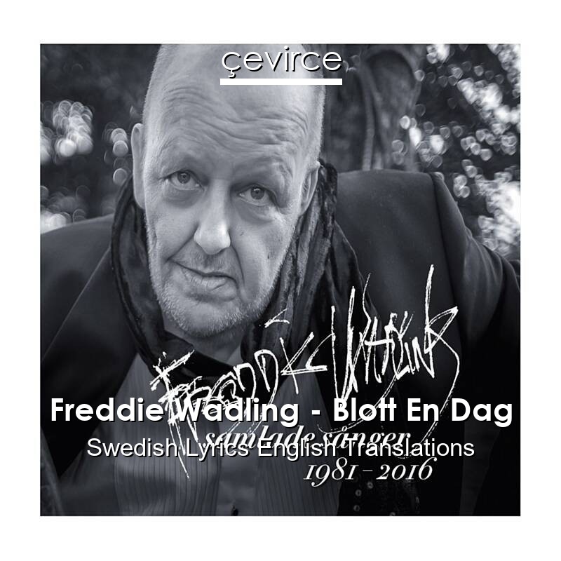 Freddie Wadling – Blott En Dag Swedish Lyrics English Translations