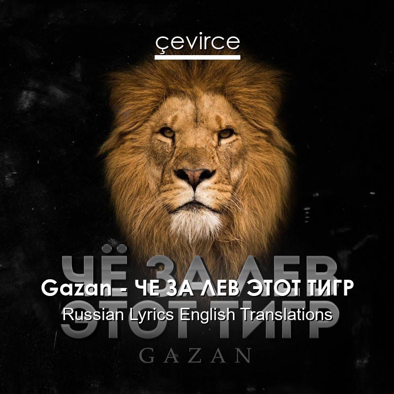 Gazan – ЧЕ ЗА ЛЕВ ЭТОТ ТИГР Russian Lyrics English Translations