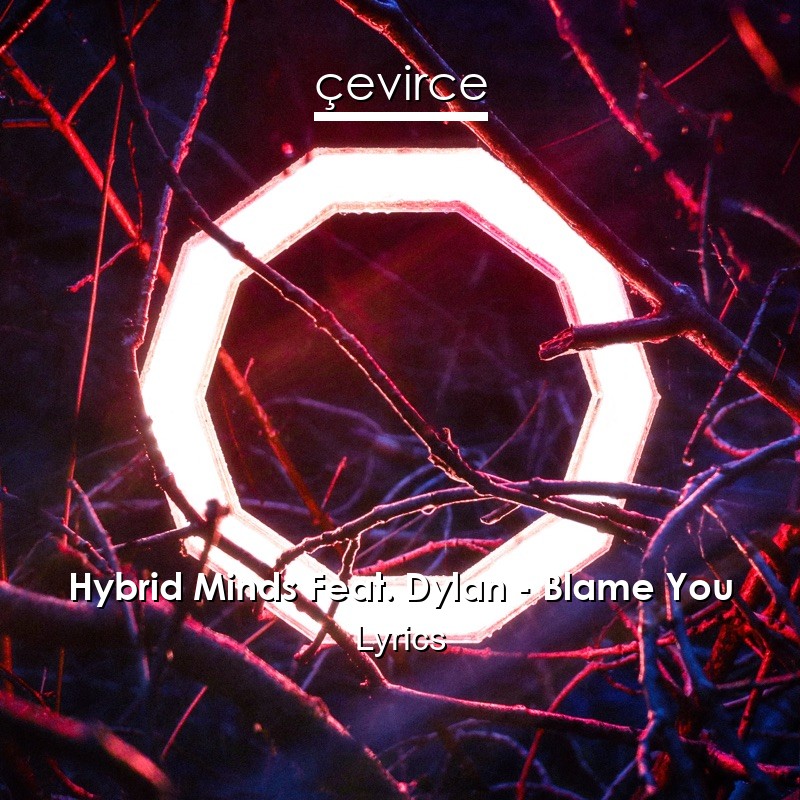 Hybrid Minds Feat. Dylan – Blame You Lyrics