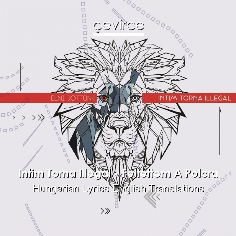 Intim Torna Illegal – Feltettem A Polcra Hungarian Lyrics English Translations
