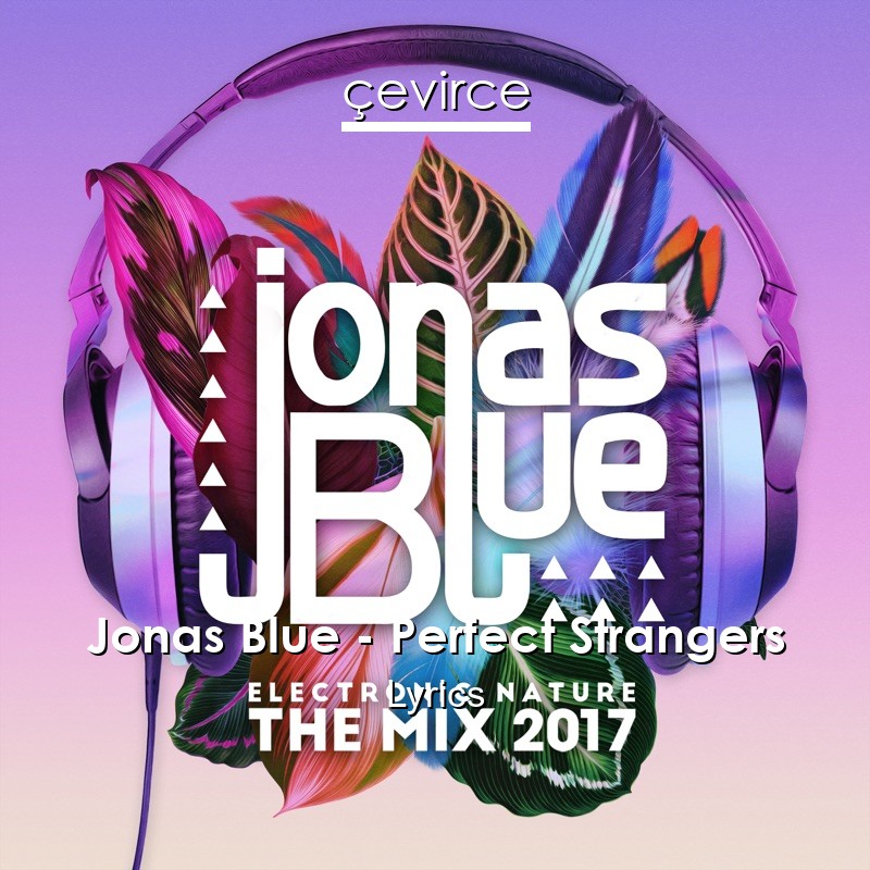 Jonas Blue – Perfect Strangers Lyrics
