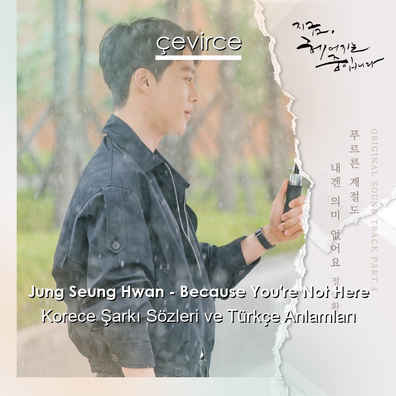 Jung Seung Hwan – Because You’re Not Here Korece Şarkı Sözleri Türkçe Anlamları