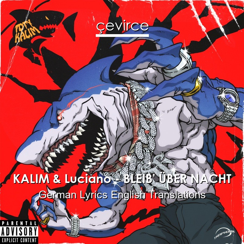 KALIM & Luciano – BLEIB’ ÜBER NACHT German Lyrics English Translations