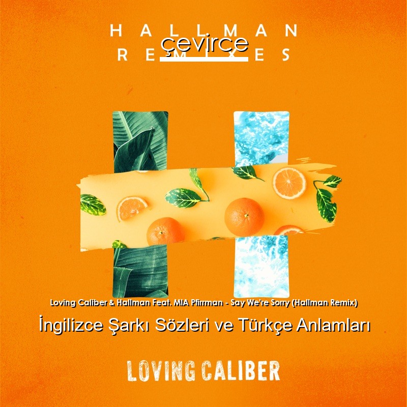 Loving Caliber & Hallman Feat. MIA Pfirrman – Say We’re Sorry (Hallman Remix) İngilizce Şarkı Sözleri Türkçe Anlamları